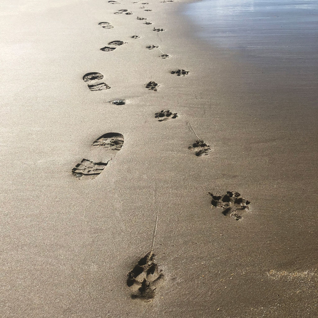 Nala The Great Dane footprints bespoke funeral service
